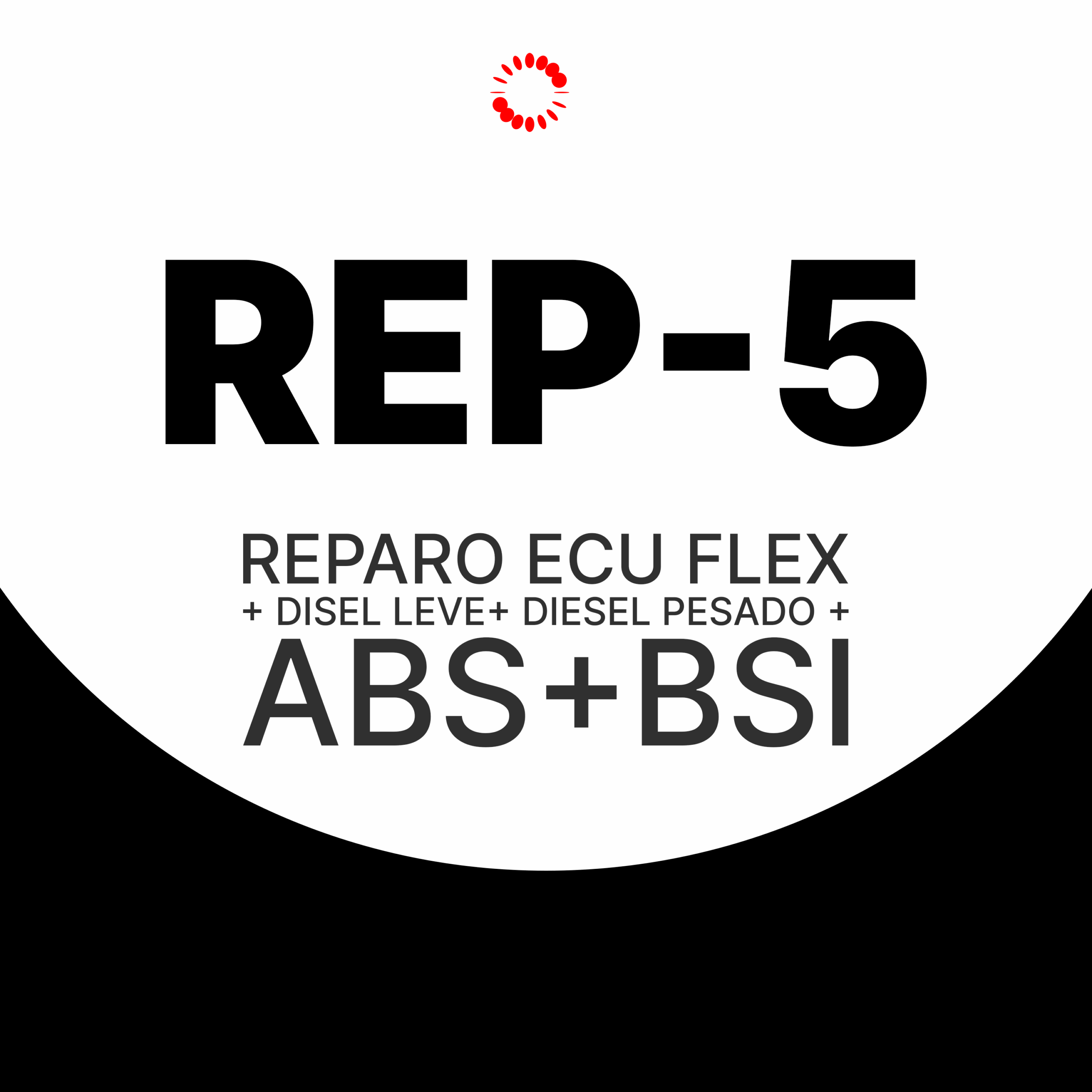 REP-5 – Reparo ECU Flex +Diesel Leve + Diesel Pesado +ABS +BSI